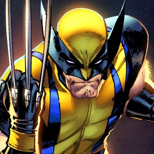 Wolverine profile picture with fierce expression